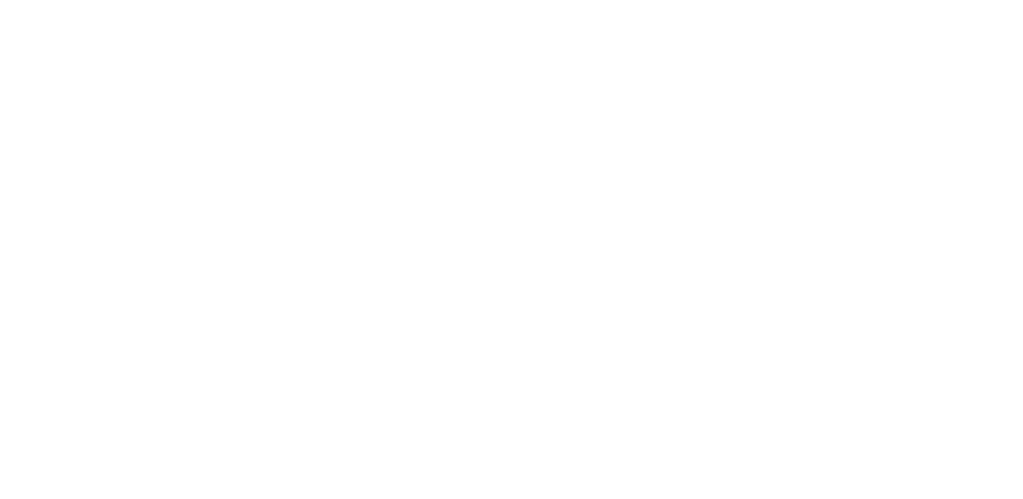 Digit Review & Advise logo